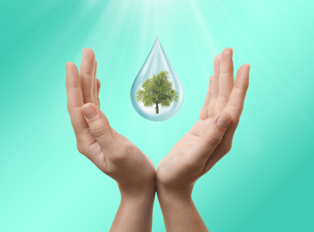 Ways To Save Water At Home