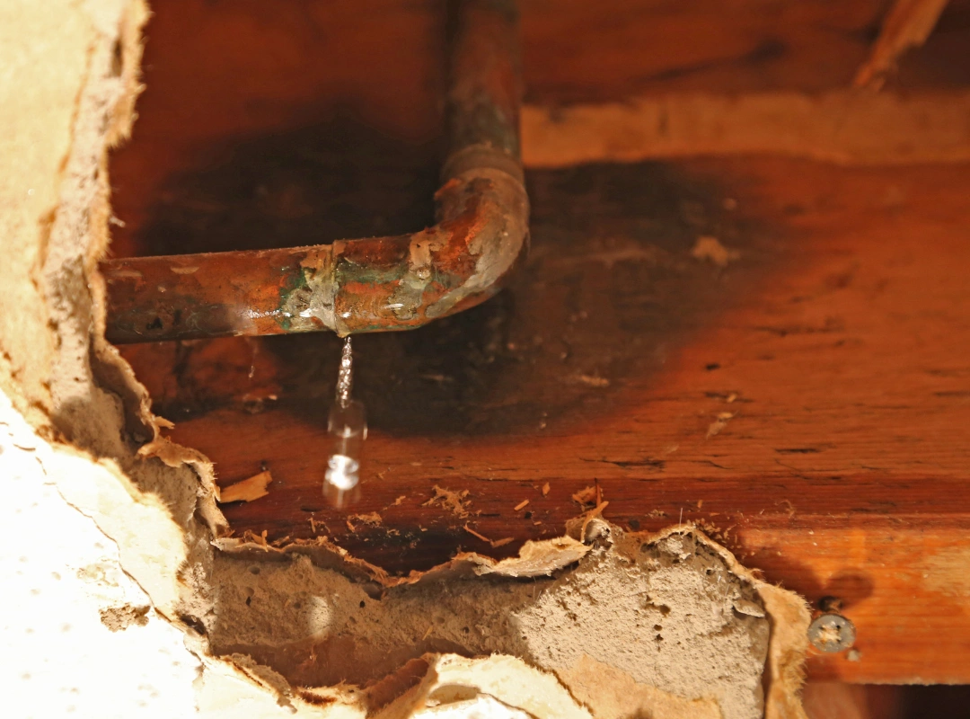 Tommies Plumbing Copper Pipe Leak Repair Morristown